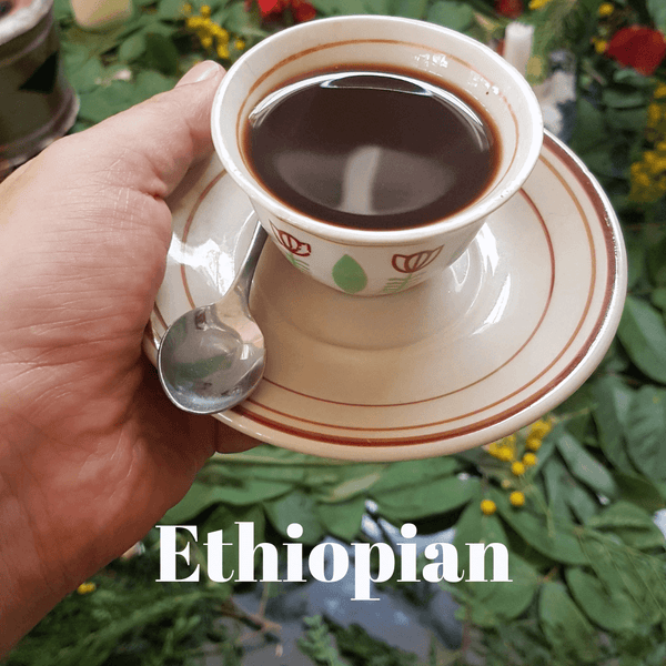 5 lbs. Ethiopian Yirgacheffe Fresh Roast