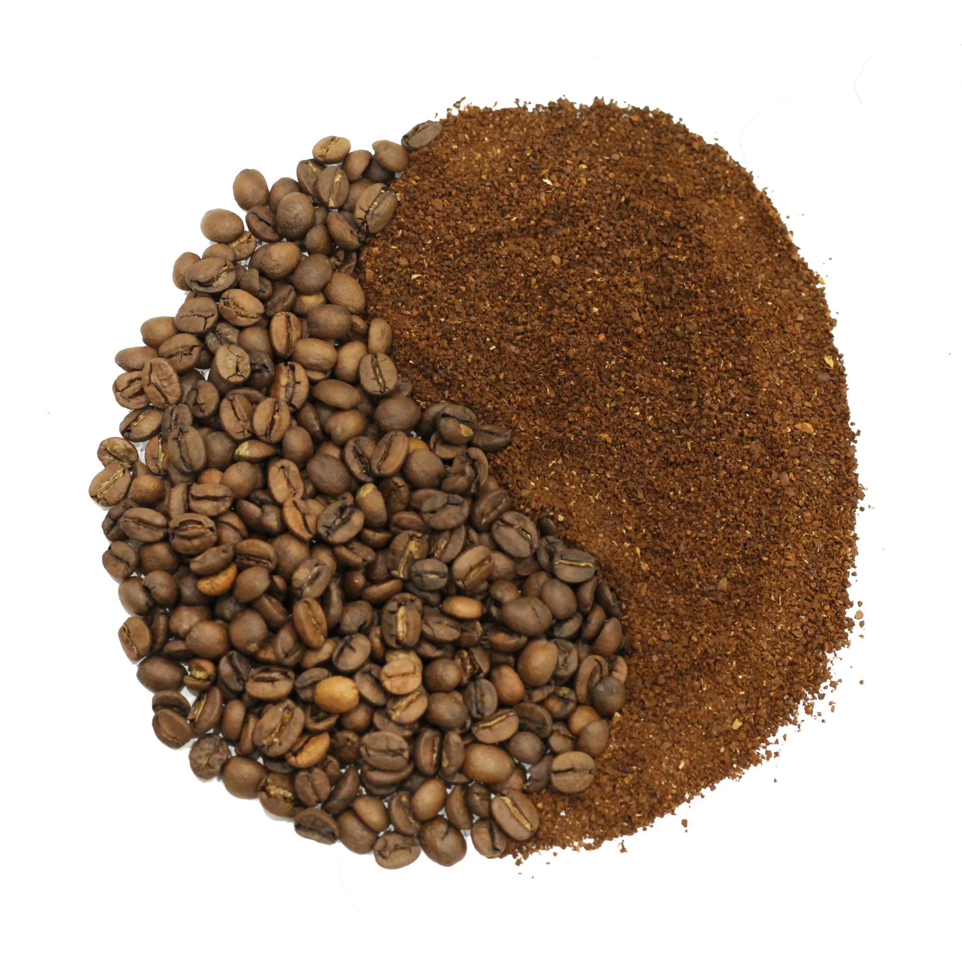 Brazil Cerrado Tropical Paradise - Fresh Roasted