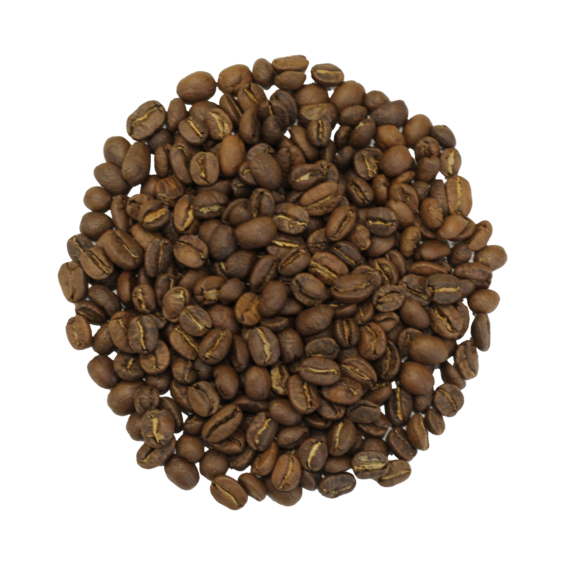 All Day Gourmet Fresh Roasted Coffee