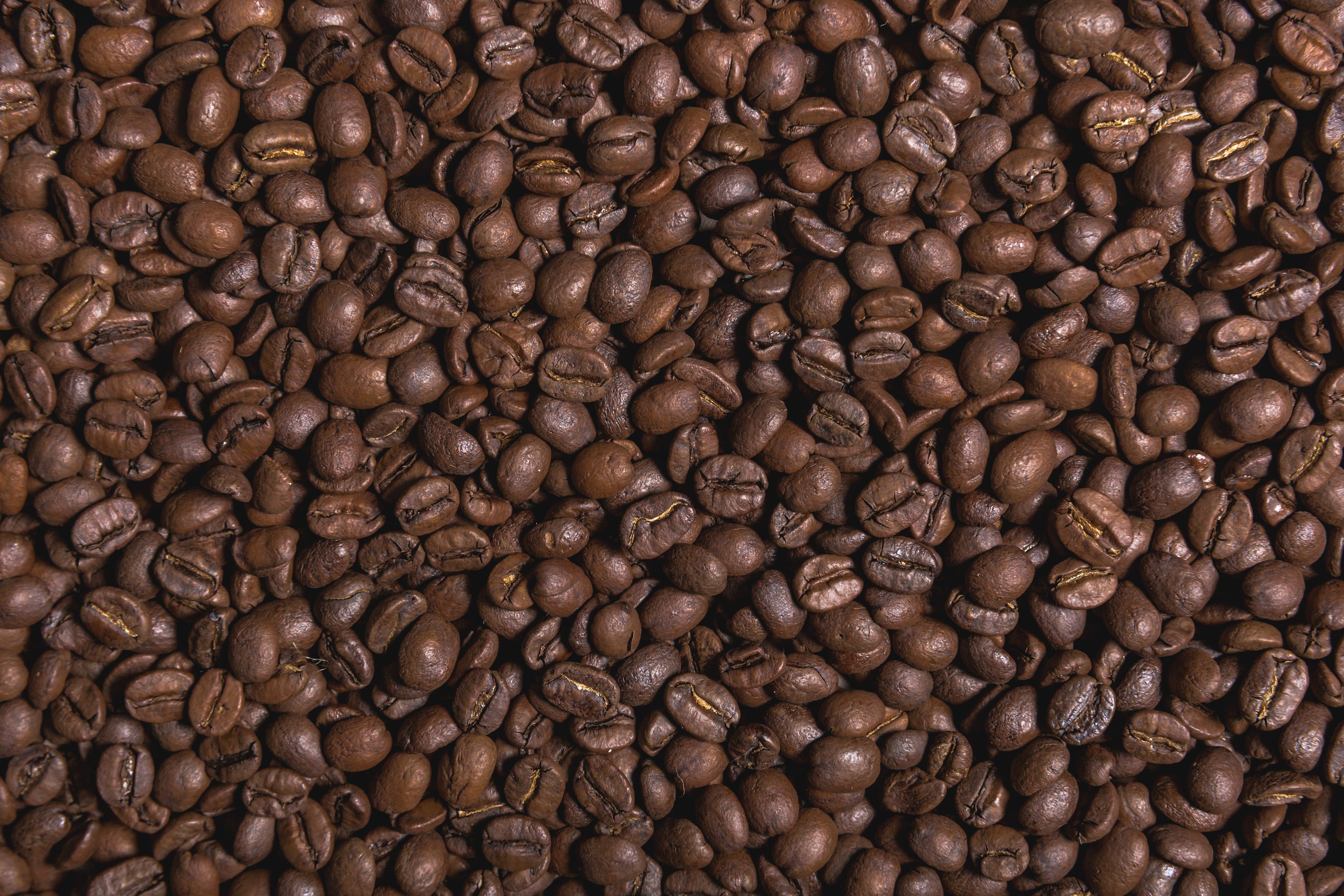 Wholesale Coffee