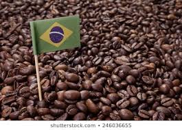 Café en Grain Brésil Cerado Linda - cafe arabica - LS COFFEE