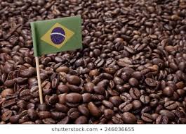 Brazilian Arabica (Medium)